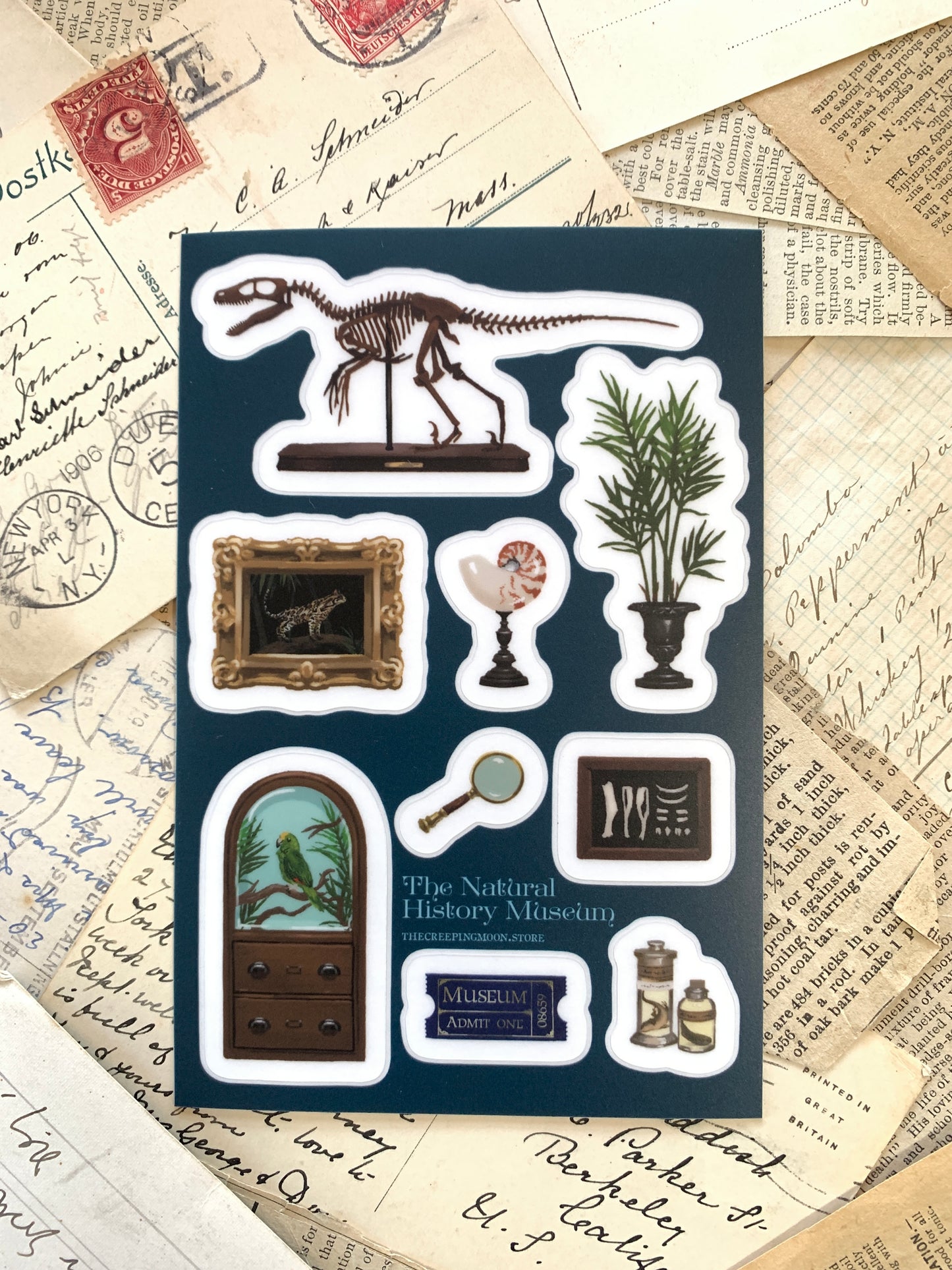 The Natural History Museum clear vinyl sticker sheet