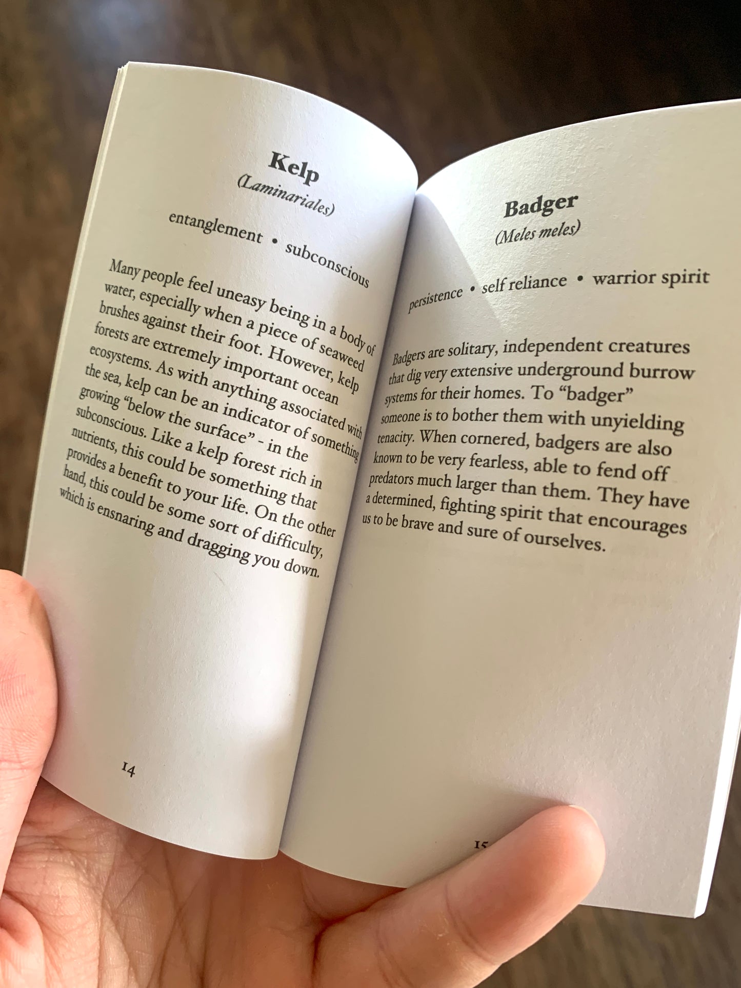 Nocturna Oracle deck with guidebook