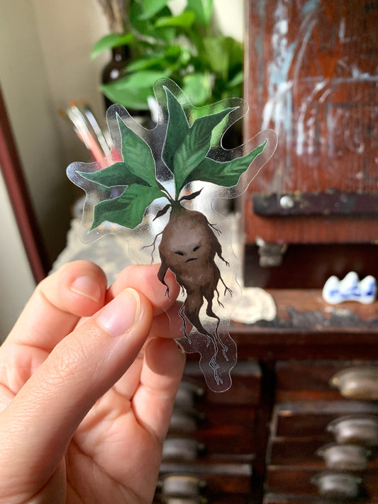 Mandrake clear vinyl sticker