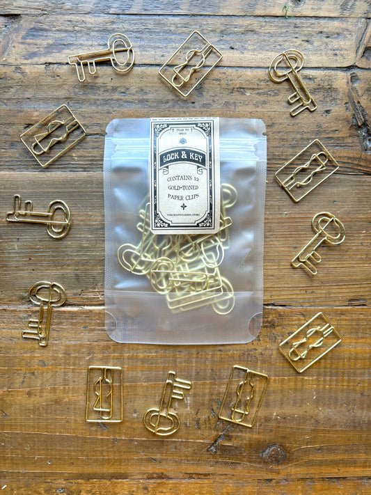 Lock and key paper clip set