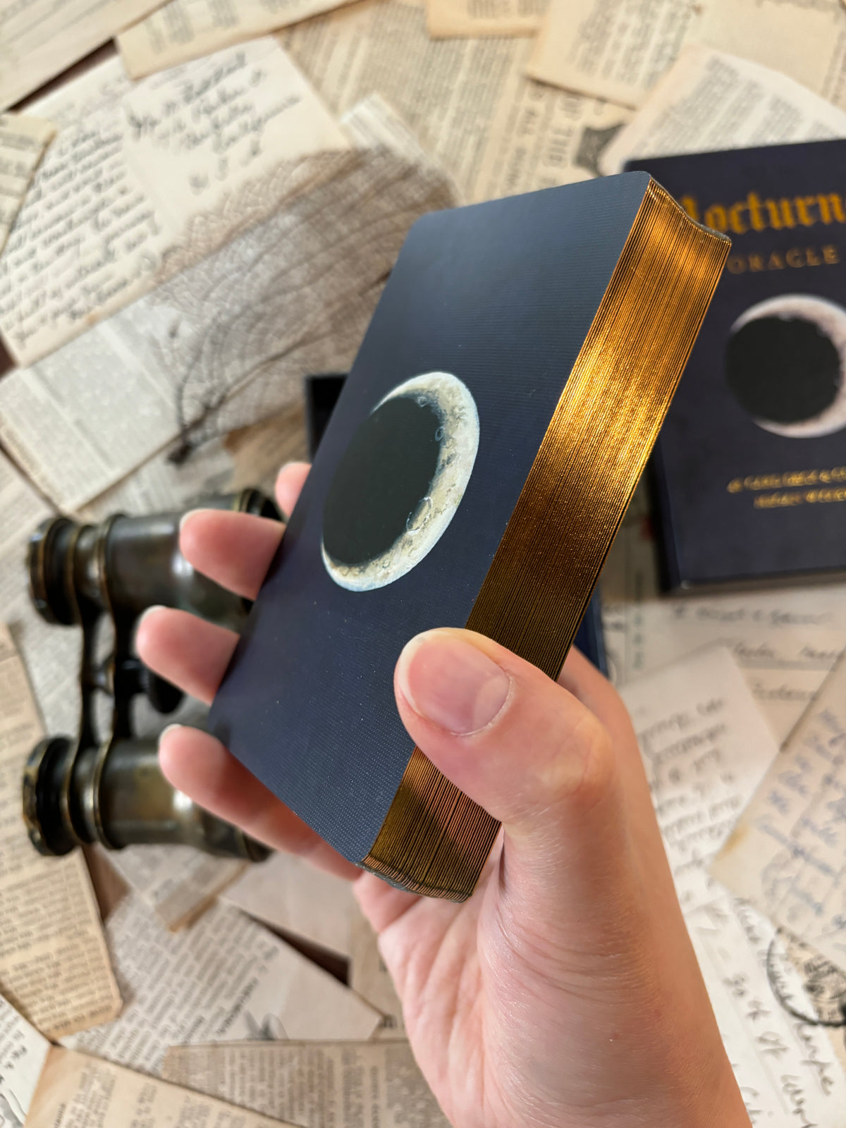 Nocturna Oracle deck with guidebook