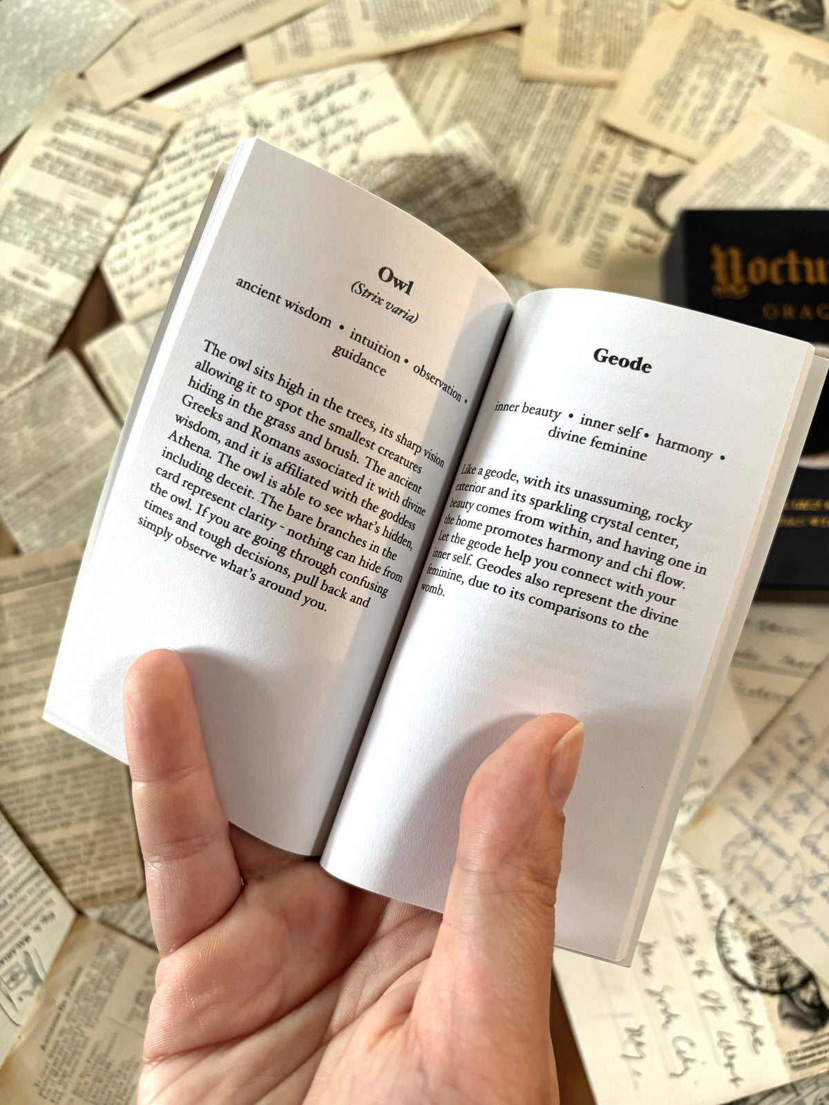 Nocturna Oracle deck with guidebook