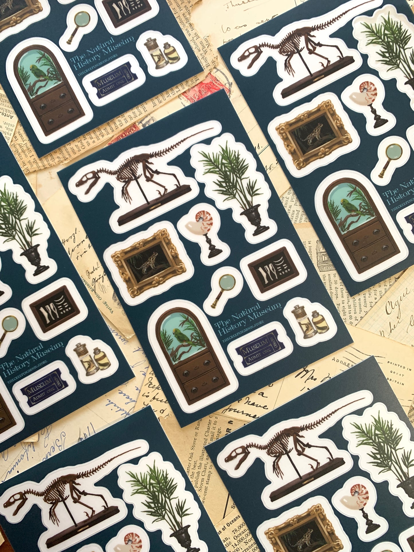 The Natural History Museum clear vinyl sticker sheet