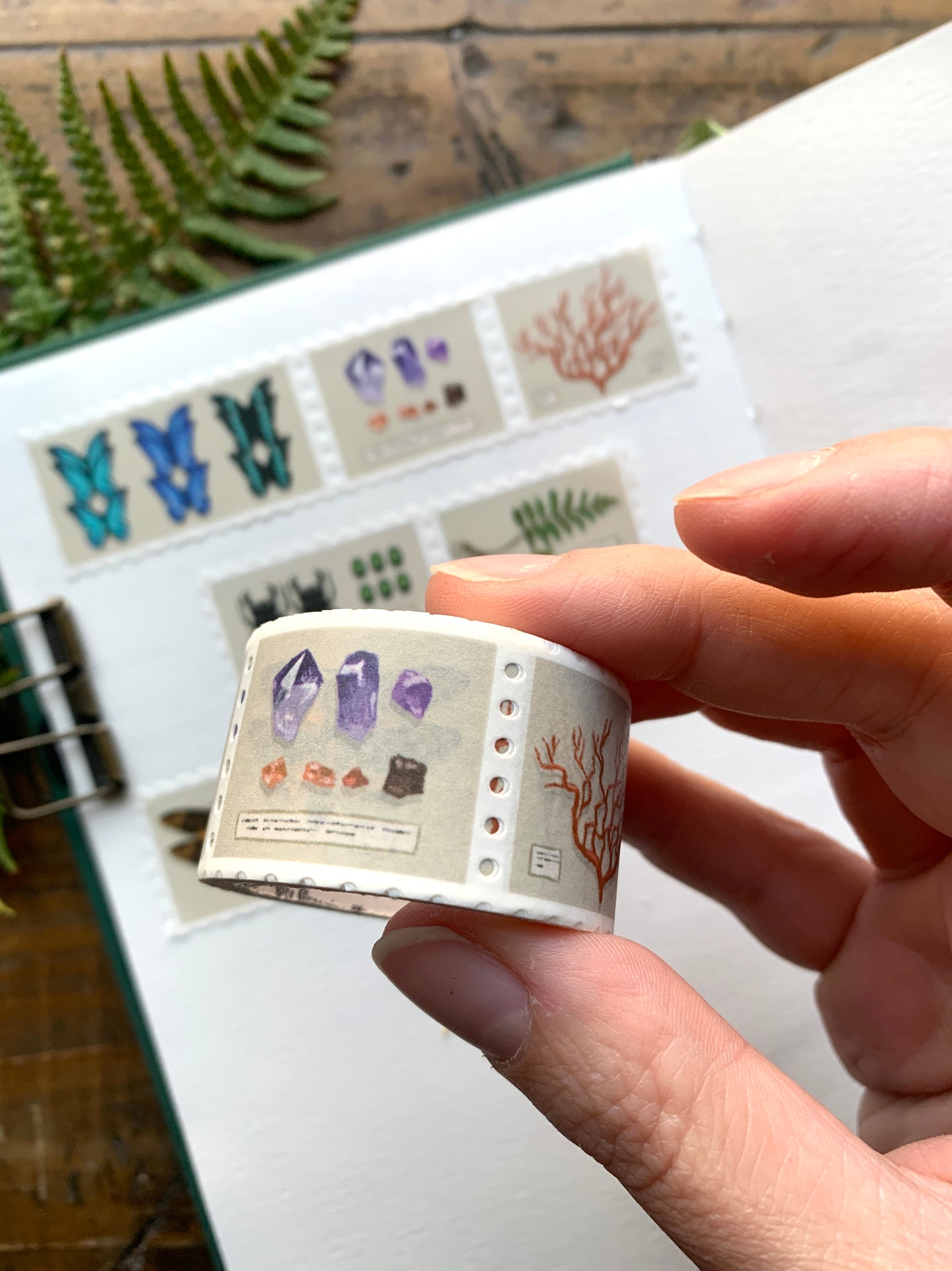 Specimen drawer stamp washi tape