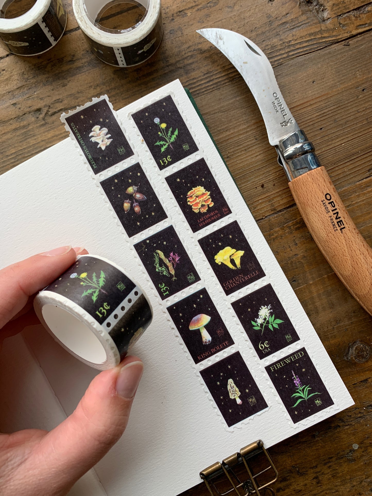 Foraging stamp washi tape