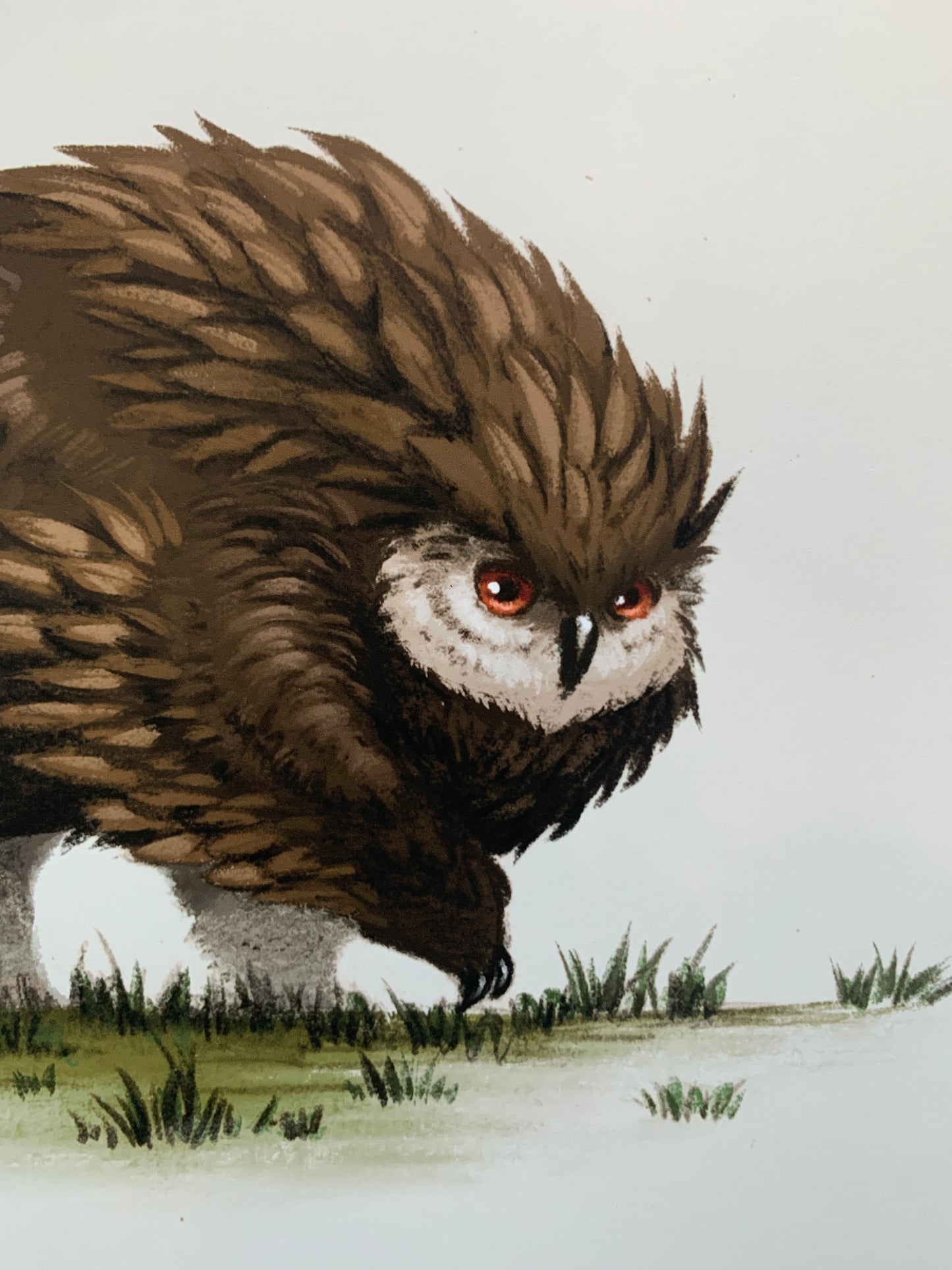 Owlbear 8x10 fine art print