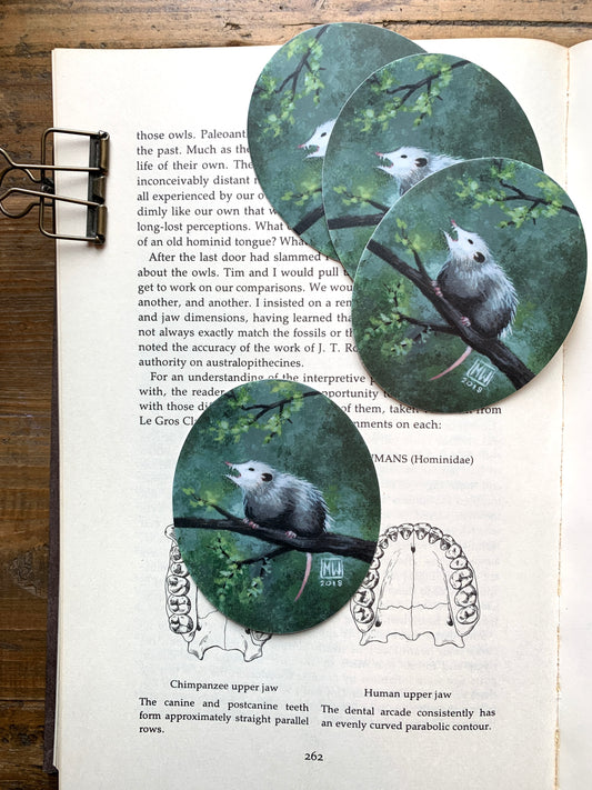 Opossum vinyl sticker