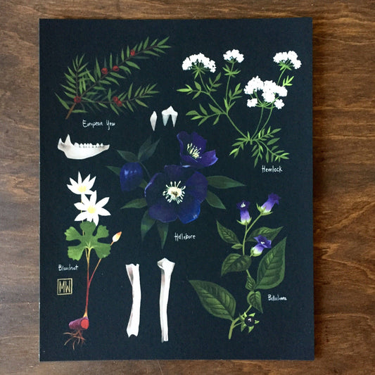 The Botanist - B6 vegan watercolor sketchbook, 300gsm – The Creeping Moon