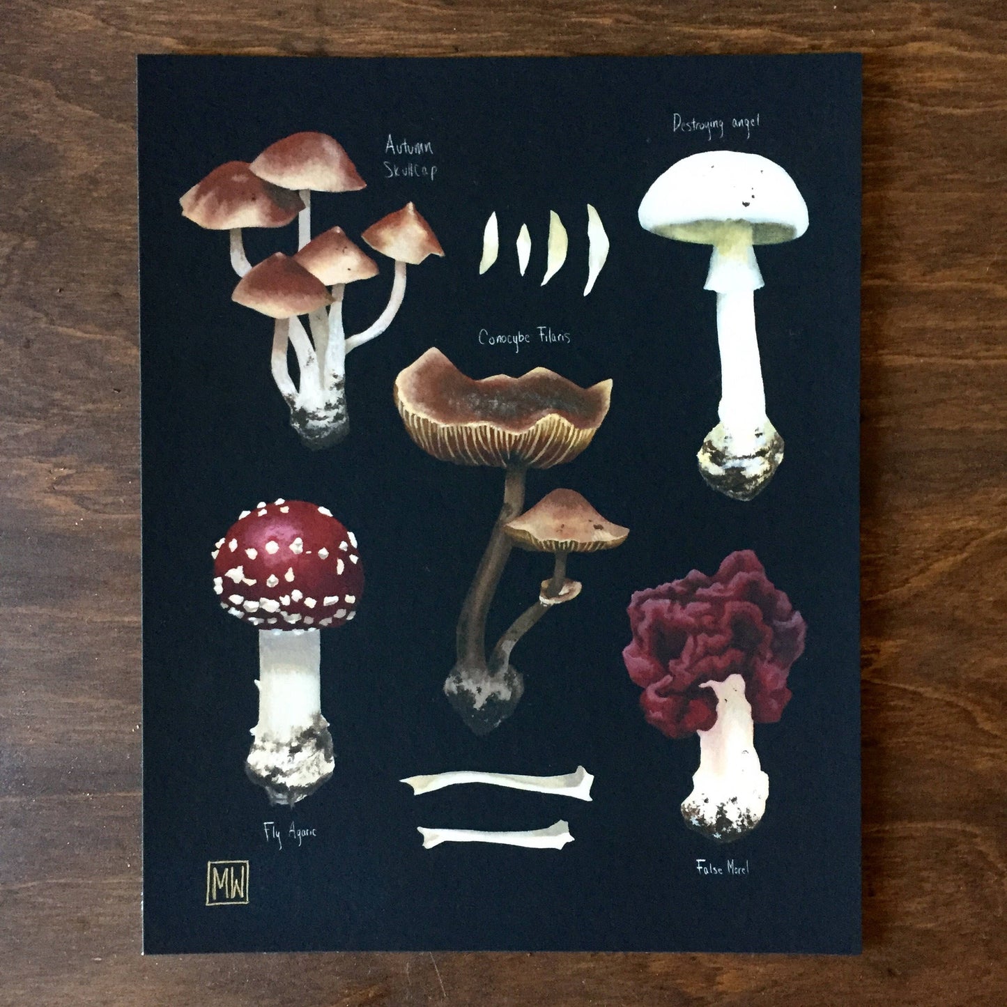 Poisons II fine art print, poisonous mushrooms