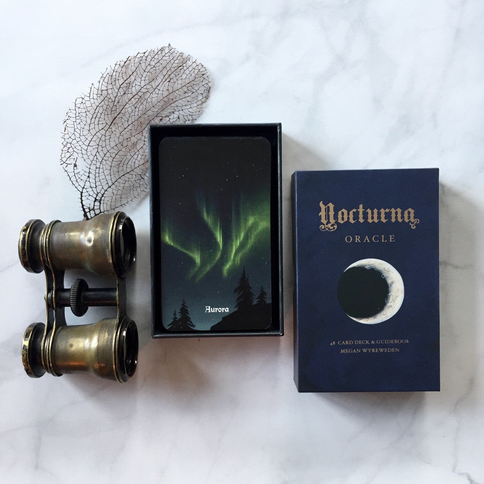 Nocturna Oracle deck with guidebook